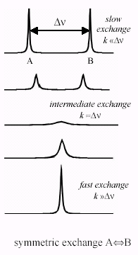 Series of NMR spectra with different exchange rates. Two sharp peaks are seen for fast exchange, a single broad peak for intermediate exchange, and a single sharp peak for fast exchange